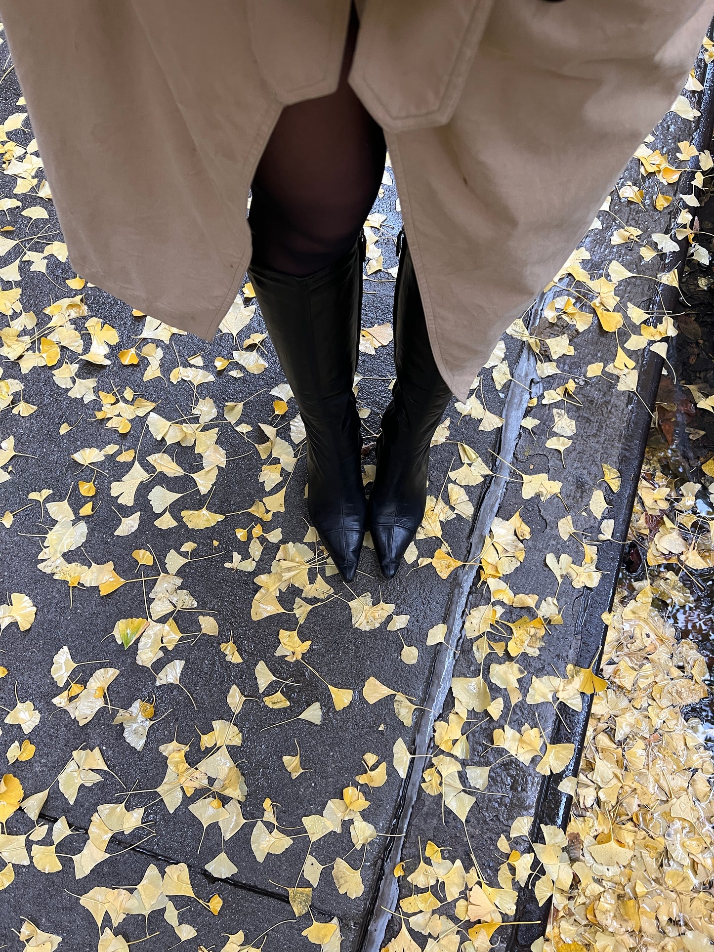 Classic Chanel Logo Boots (36.5)
