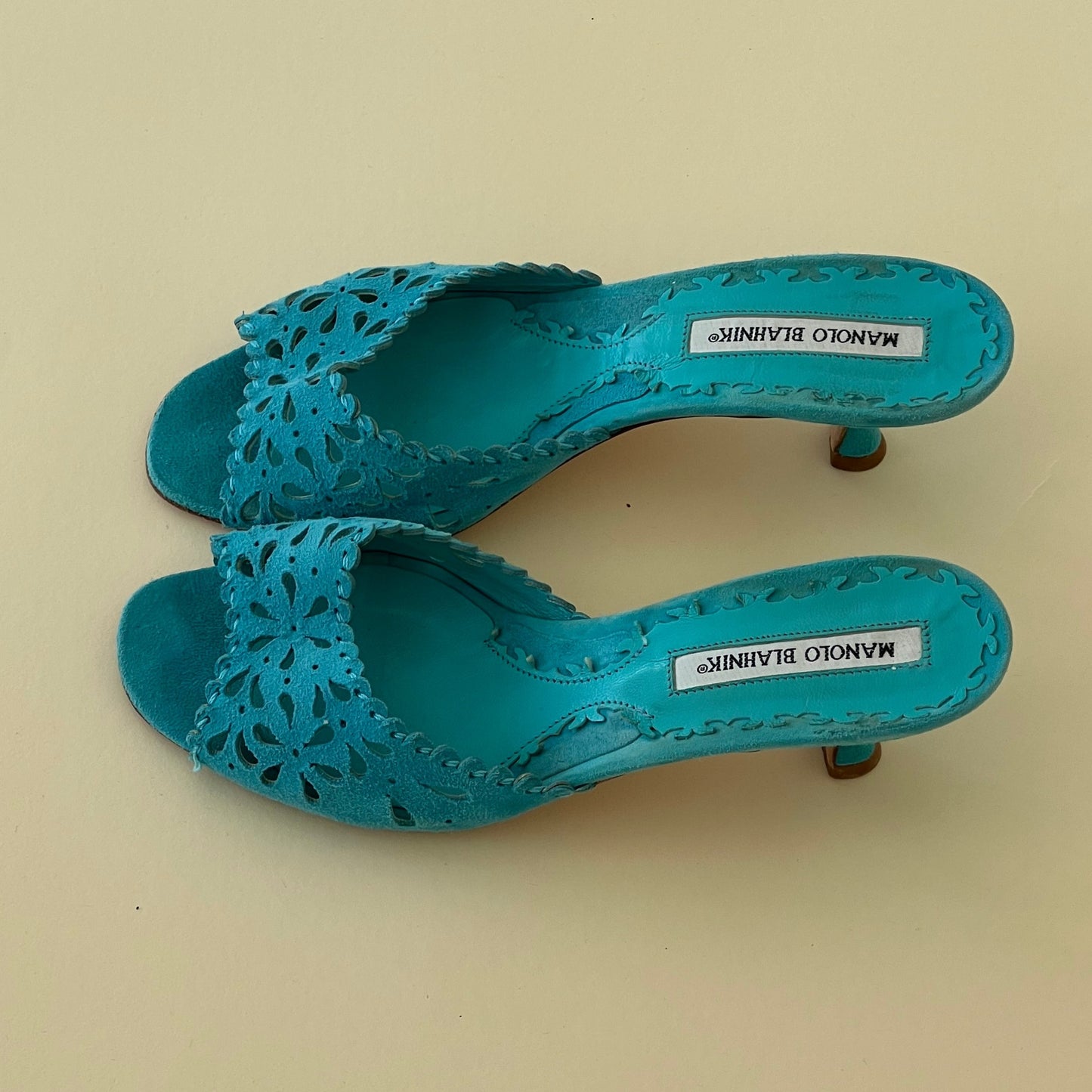 Manolo Blahnik Mules (37)