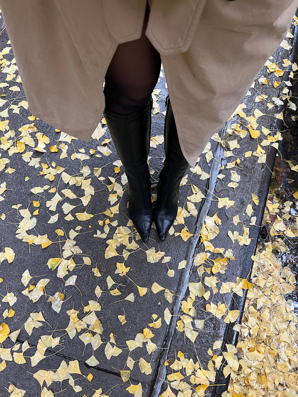 Classic Chanel Logo Boots (36.5)
