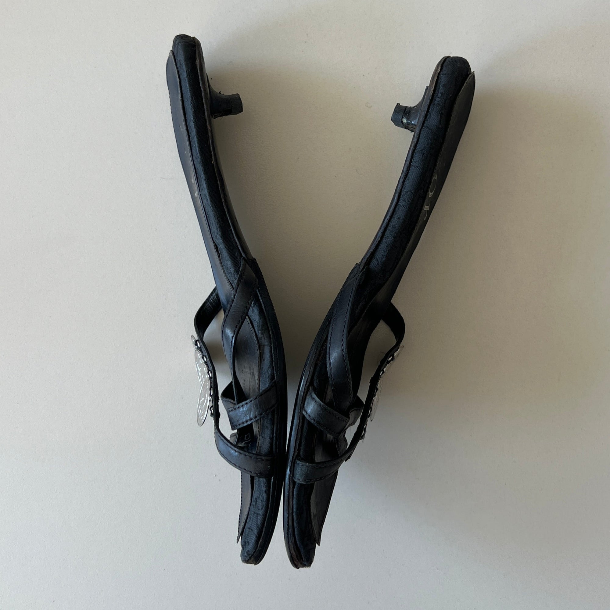 Ultra Rare Dior Coin Mules (37)